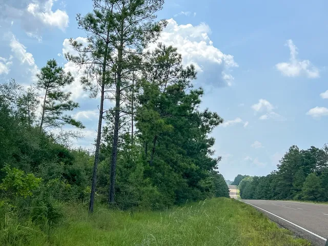 $149,600 | 3 Rec Road 255, Brookeland, TX 75931