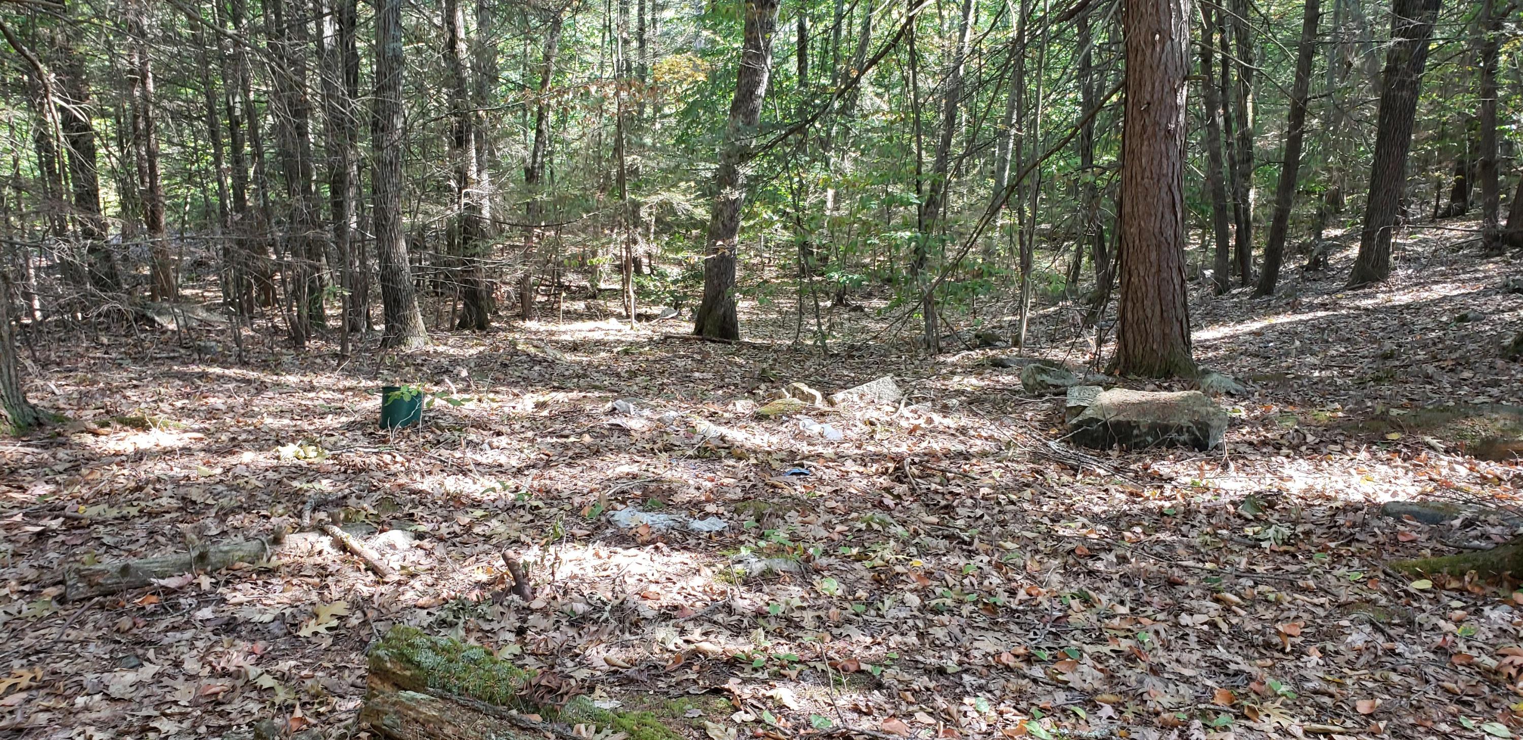 65 Mountain Road South Berwick, ME 03908 - Photo 19 of 27 20200820_155648