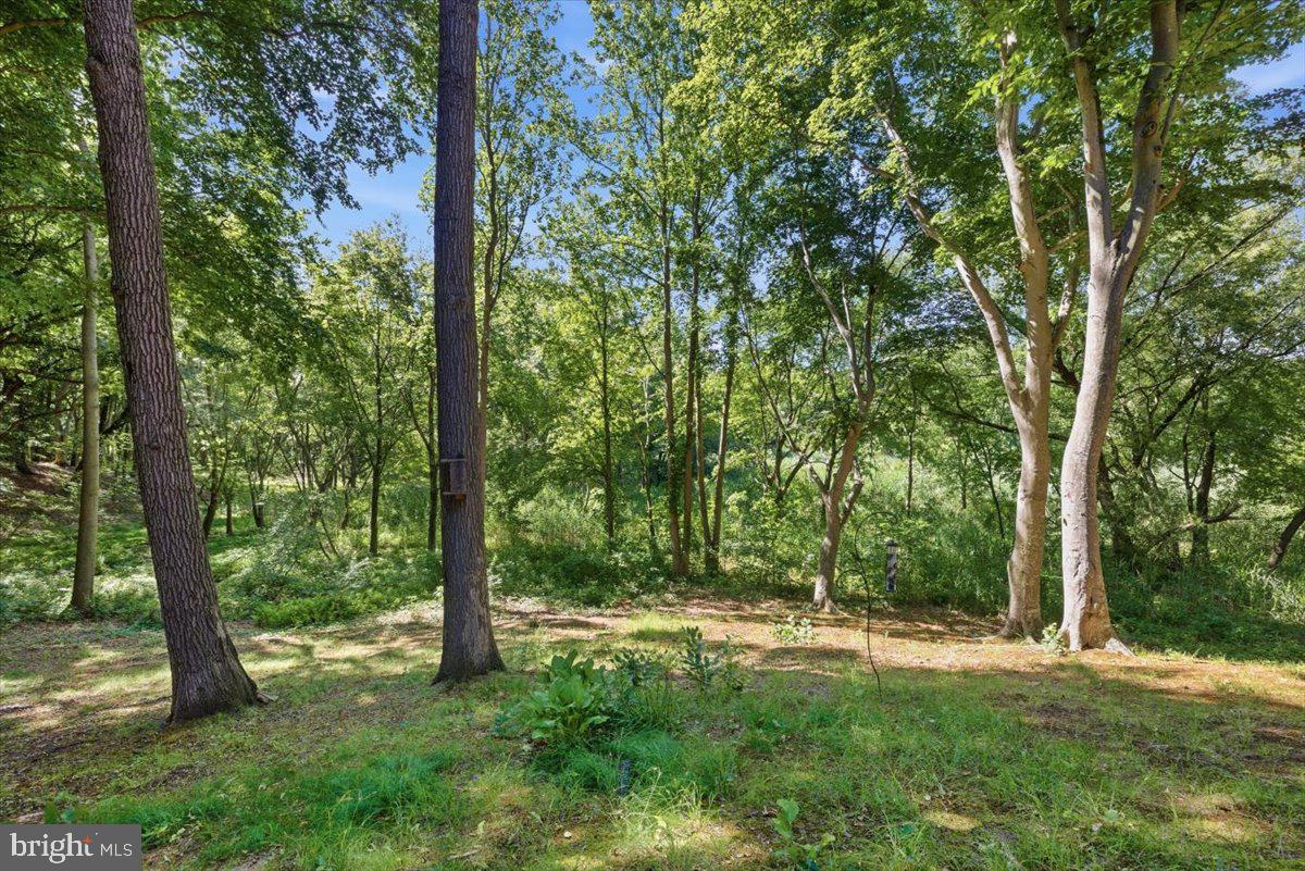 3410 Seaman Road Preston, MD 21655 - Photo 15 of 64
