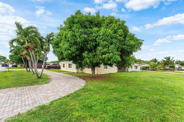 a view of a park with large trees