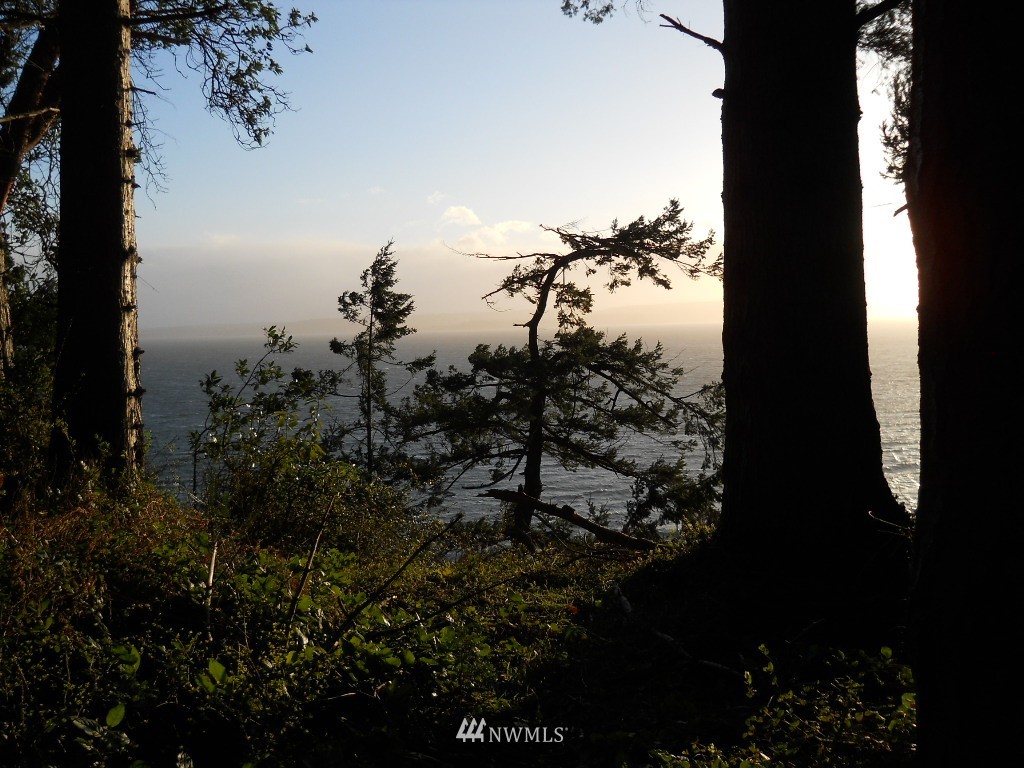5041 South Smugglers Cove Road Freeland, WA 98249 - Photo 1 of 6 Gallery Image 1