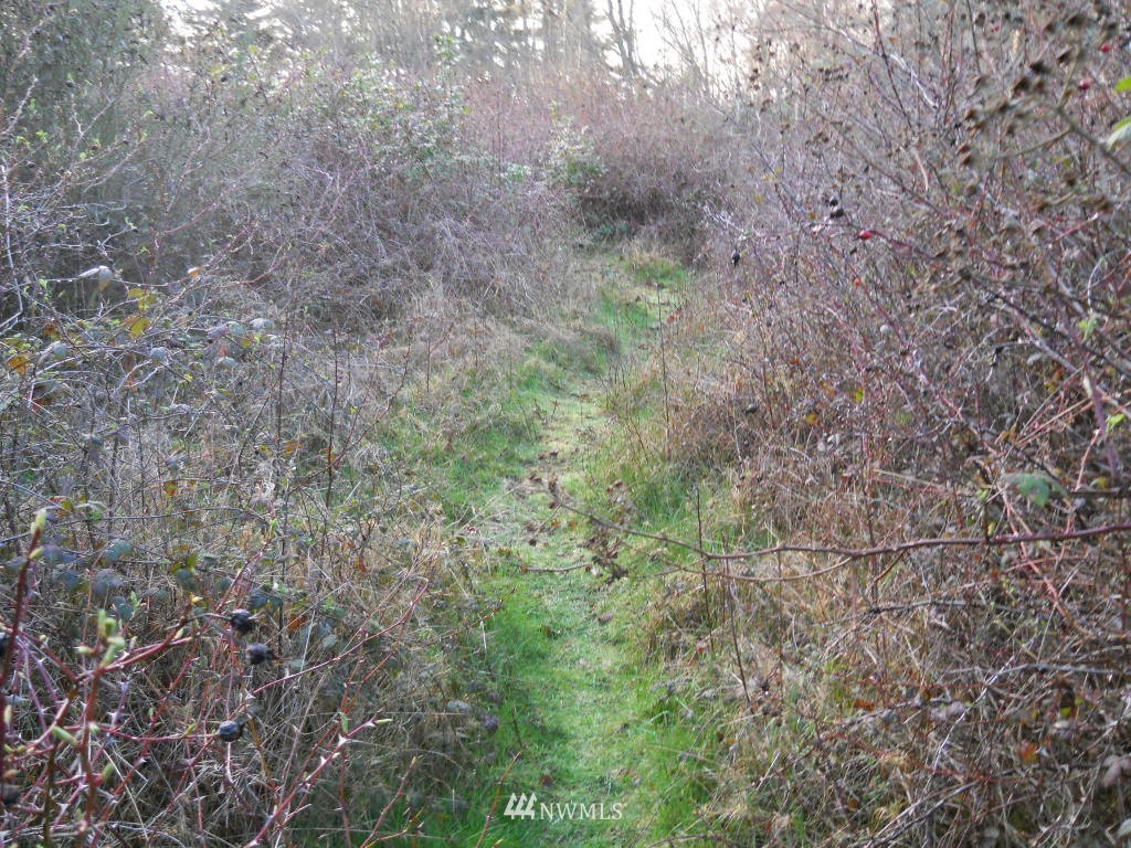5041 South Smugglers Cove Road Freeland, WA 98249 - Photo 2 of 6 Gallery Image 2