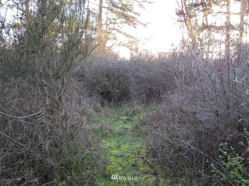 5041 South Smugglers Cove Road Freeland, WA 98249 - Photo 3 of 6 Gallery Image 3