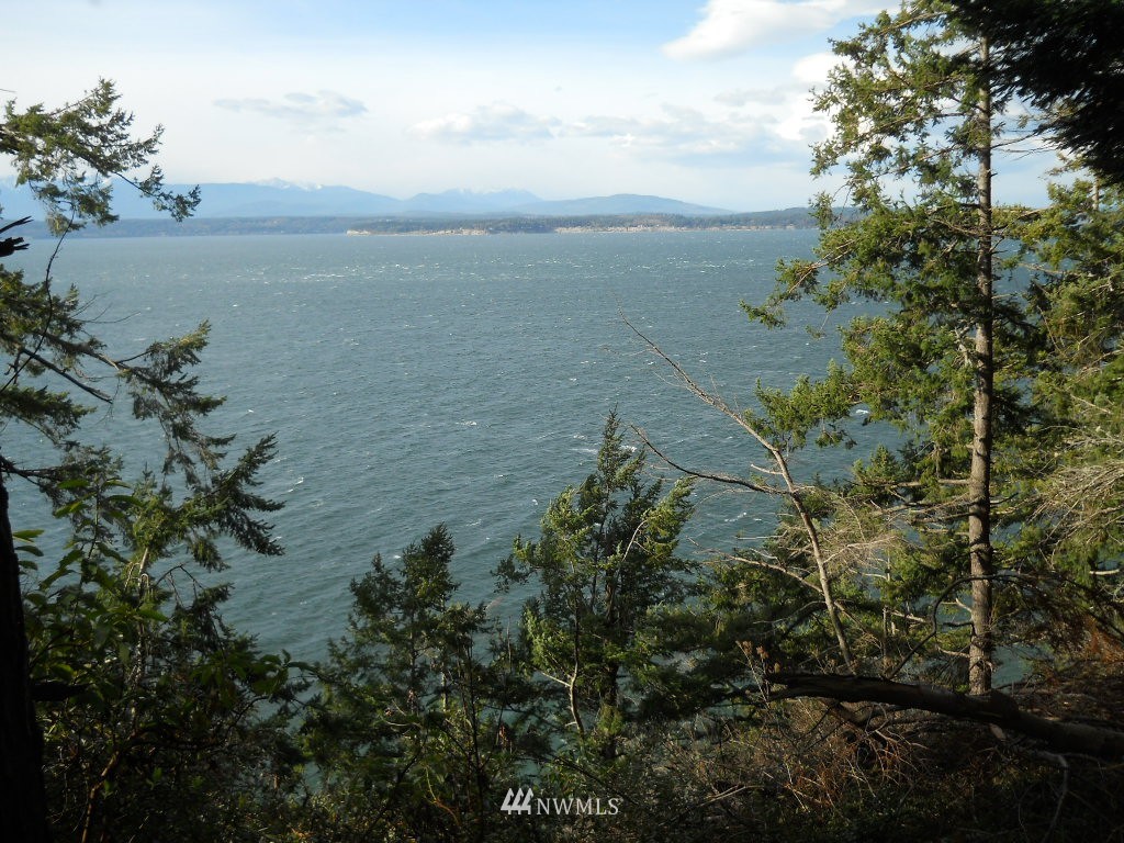 5041 South Smugglers Cove Road Freeland, WA 98249 - Photo 5 of 6 Gallery Image 5