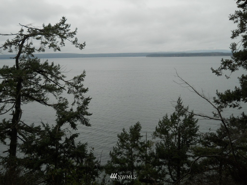 5041 South Smugglers Cove Road Freeland, WA 98249 - Photo 6 of 6 Gallery Image 6