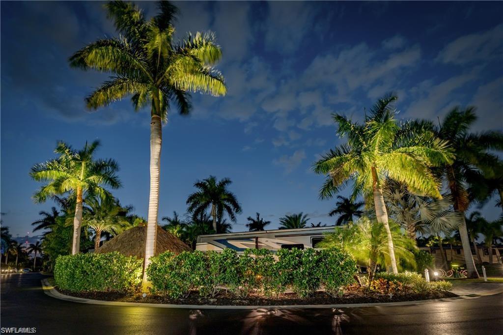 13526 Snook Circle Naples, FL 34114 - Photo 32 of 36 a plant in a garden with a chair