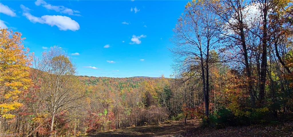 600 Wolf Pen Road Purlear, NC 28665 - Photo 20 of 26