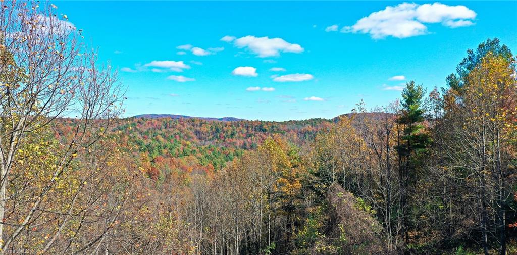 600 Wolf Pen Road Purlear, NC 28665 - Photo 21 of 26