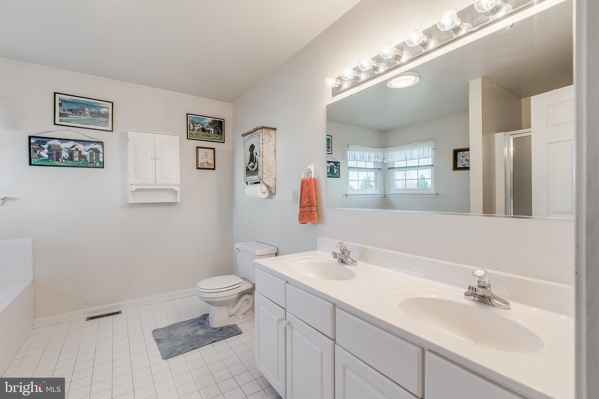 890 4 Seasons Road Westminster, MD 21157 - Photo 24 of 49 Luxury master bathroom