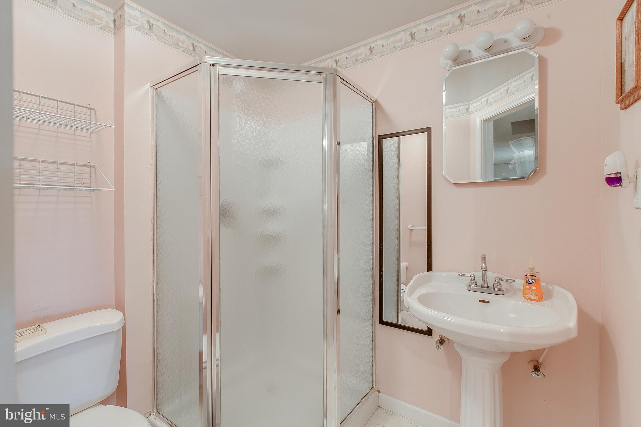 890 4 Seasons Road Westminster, MD 21157 - Photo 33 of 49 Full bath in finished basement