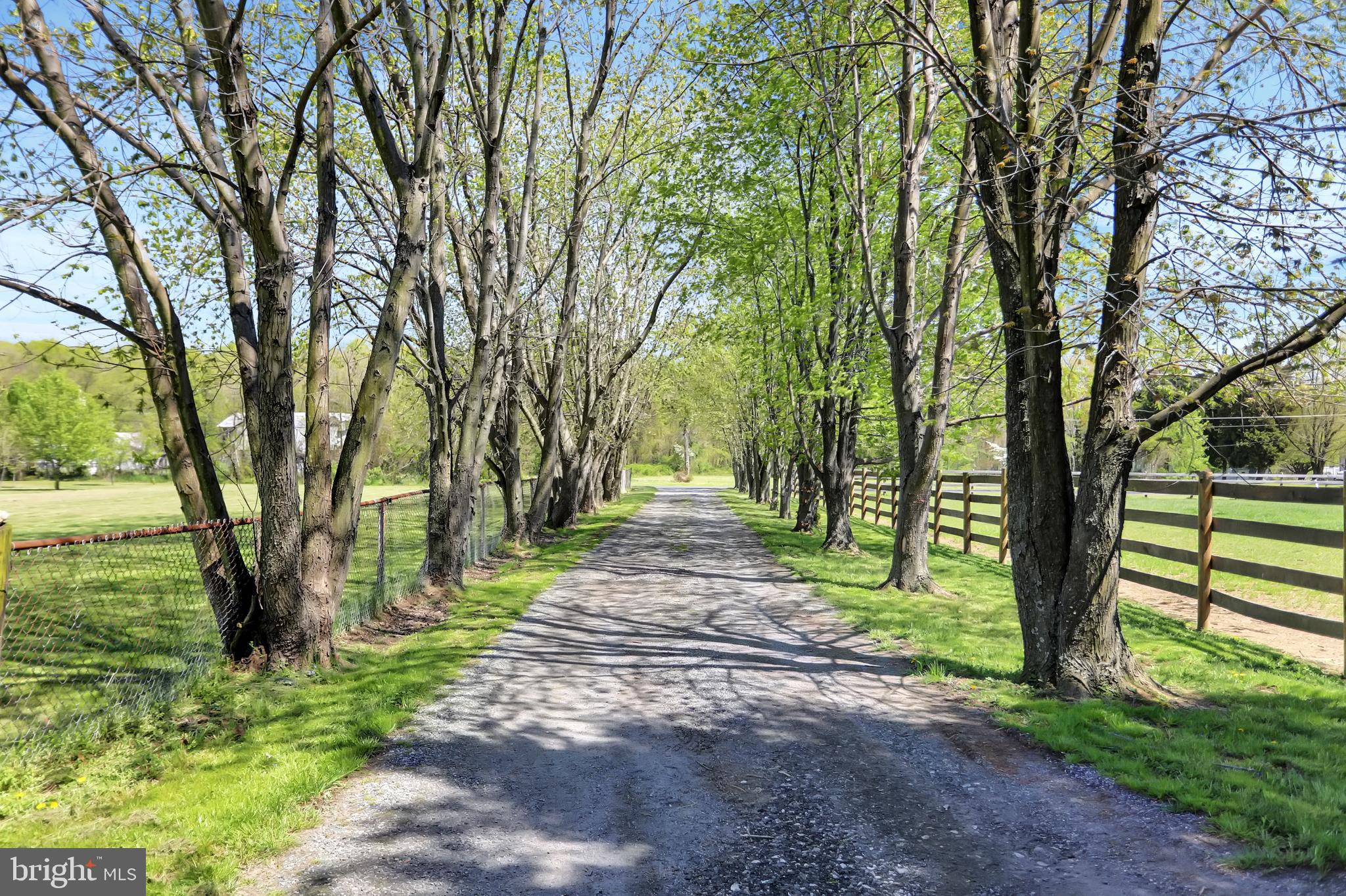 1004 South Stepney Road Aberdeen, MD 21001 - Photo 2 of 56 Driveway