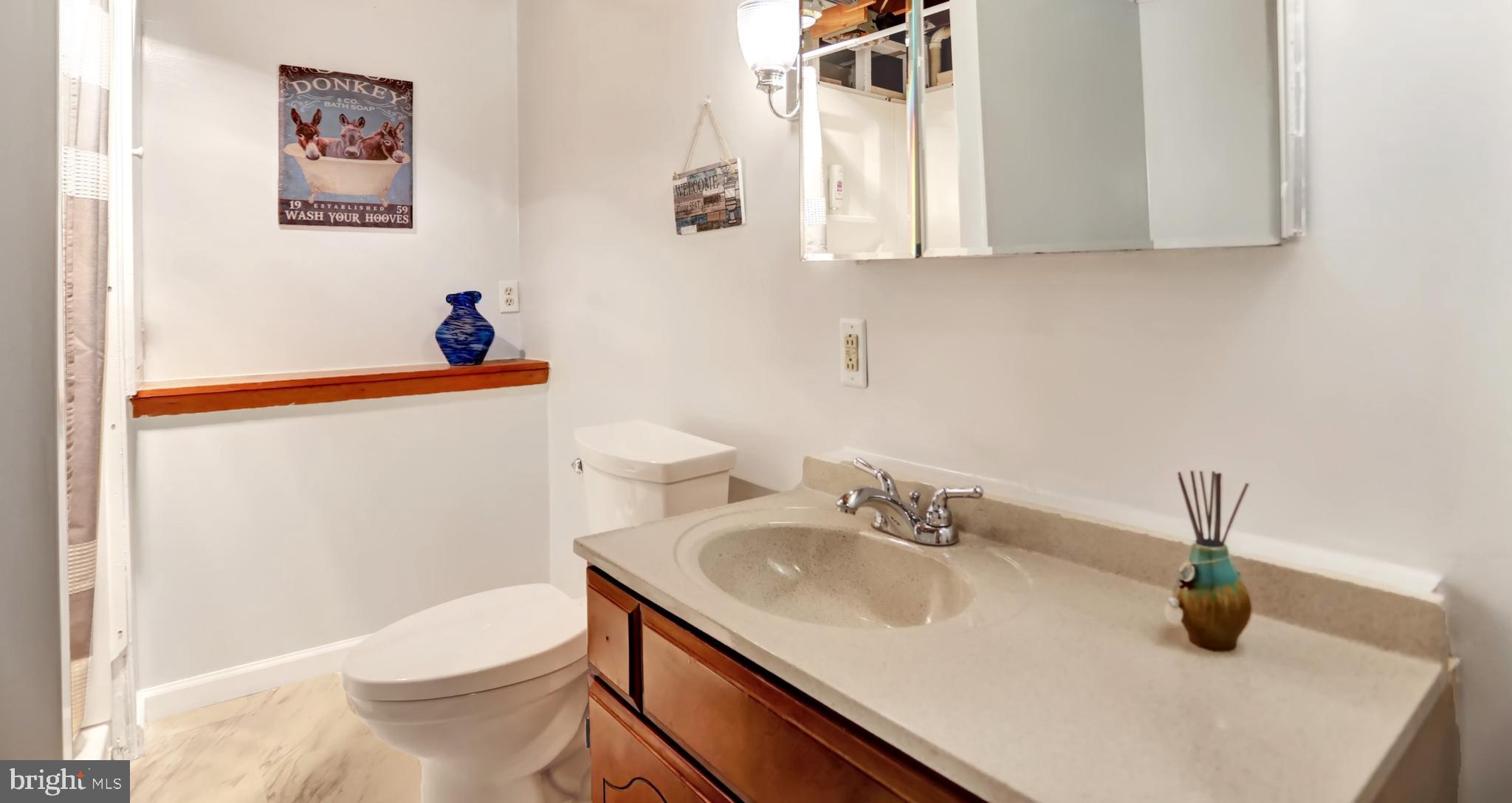 1004 South Stepney Road Aberdeen, MD 21001 - Photo 34 of 56 Lower Level Full Bath