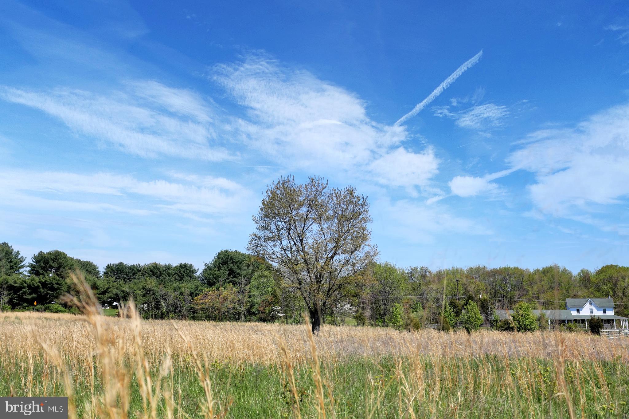 1004 South Stepney Road Aberdeen, MD 21001 - Photo 40 of 56 Serene views
