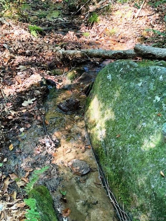 300 Camp McCall Road Bostic, NC 28018 - Photo 14 of 17 Gallery Image 14