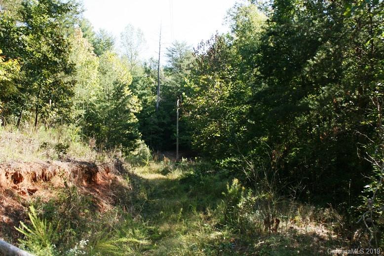 300 Camp McCall Road Bostic, NC 28018 - Photo 15 of 17 Gallery Image 15