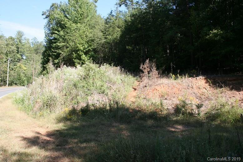 300 Camp McCall Road Bostic, NC 28018 - Photo 17 of 17 Gallery Image 17
