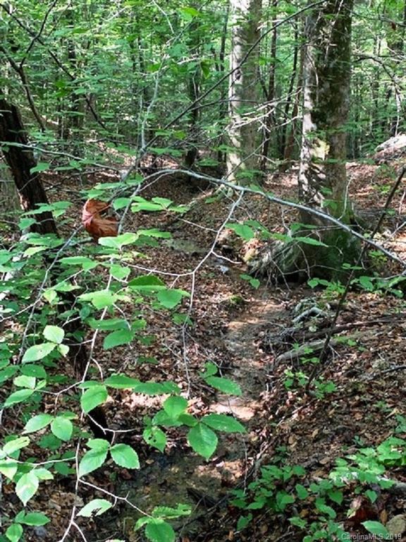300 Camp McCall Road Bostic, NC 28018 - Photo 7 of 17 Gallery Image 7