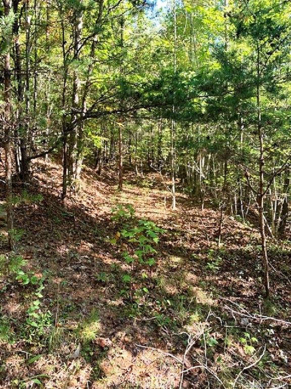 300 Camp McCall Road Bostic, NC 28018 - Photo 10 of 17 Gallery Image 10