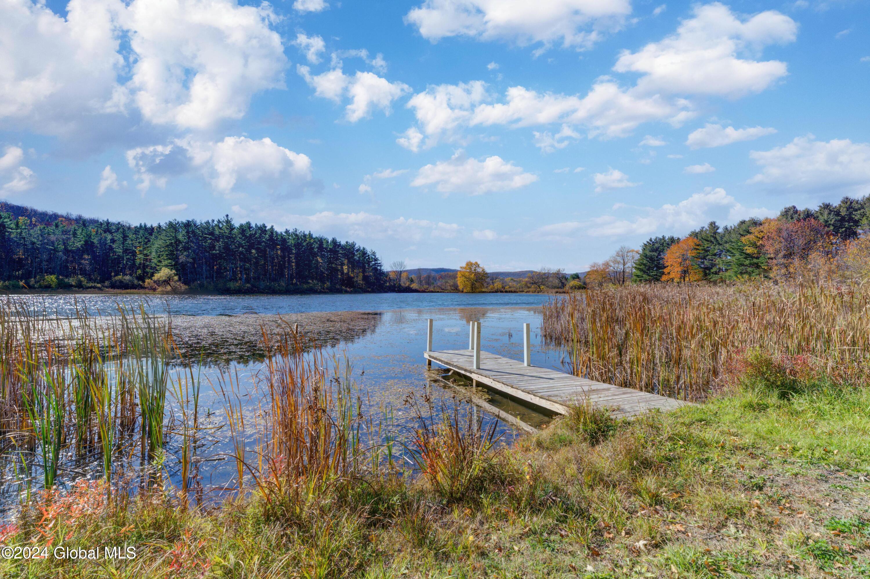 Undisclosed Address Sharon, NY 13459 - Photo 34 of 47 138 Lantern Dr-45