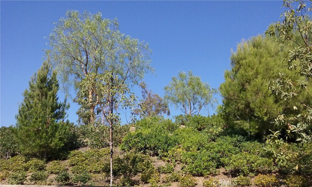 182 Working Ranch Irvine, CA 92602 - Photo 20 of 46 View from Backyard