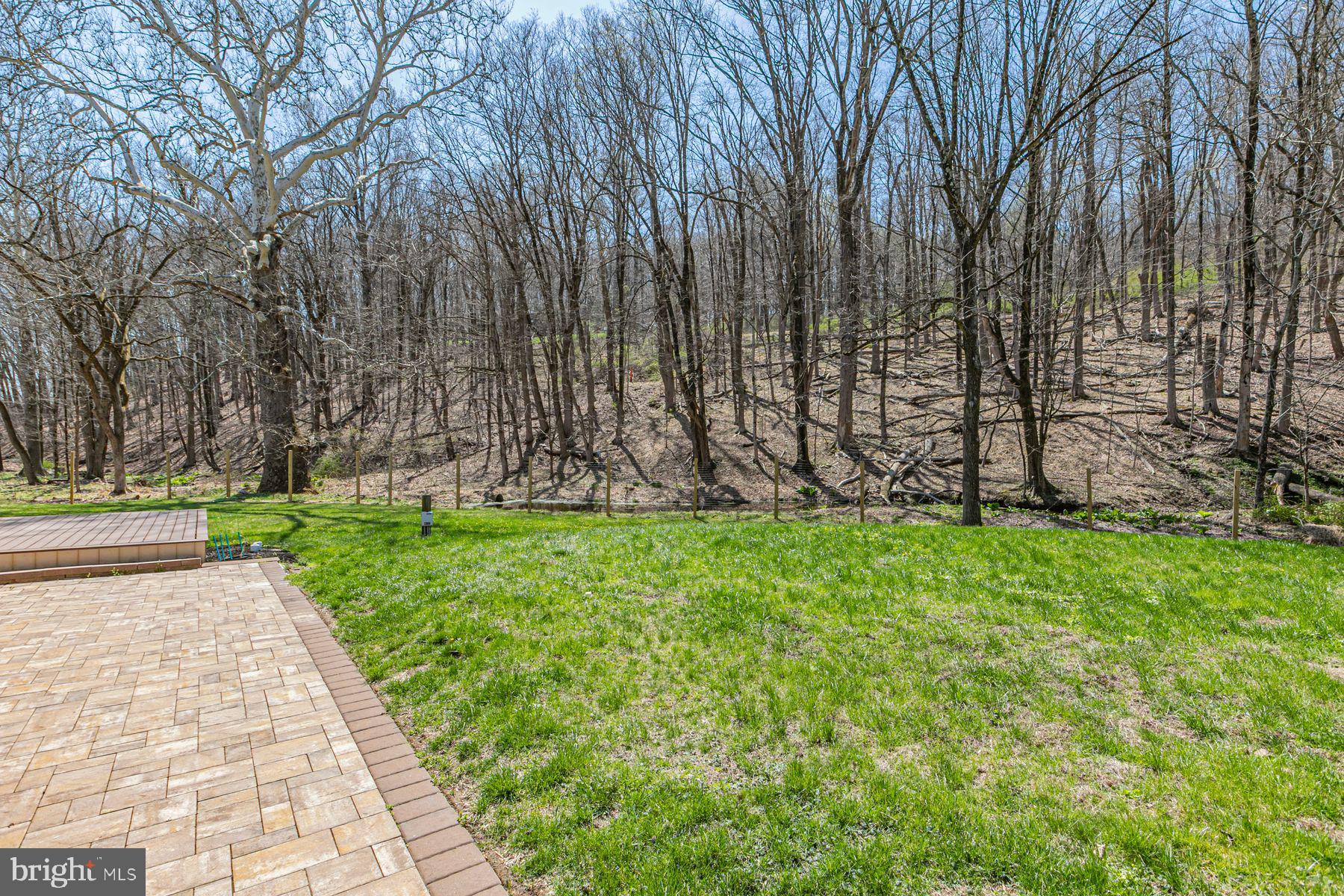 310 Hollow Road Skillman, NJ 08558 - Photo 31 of 32 a view of park with tree