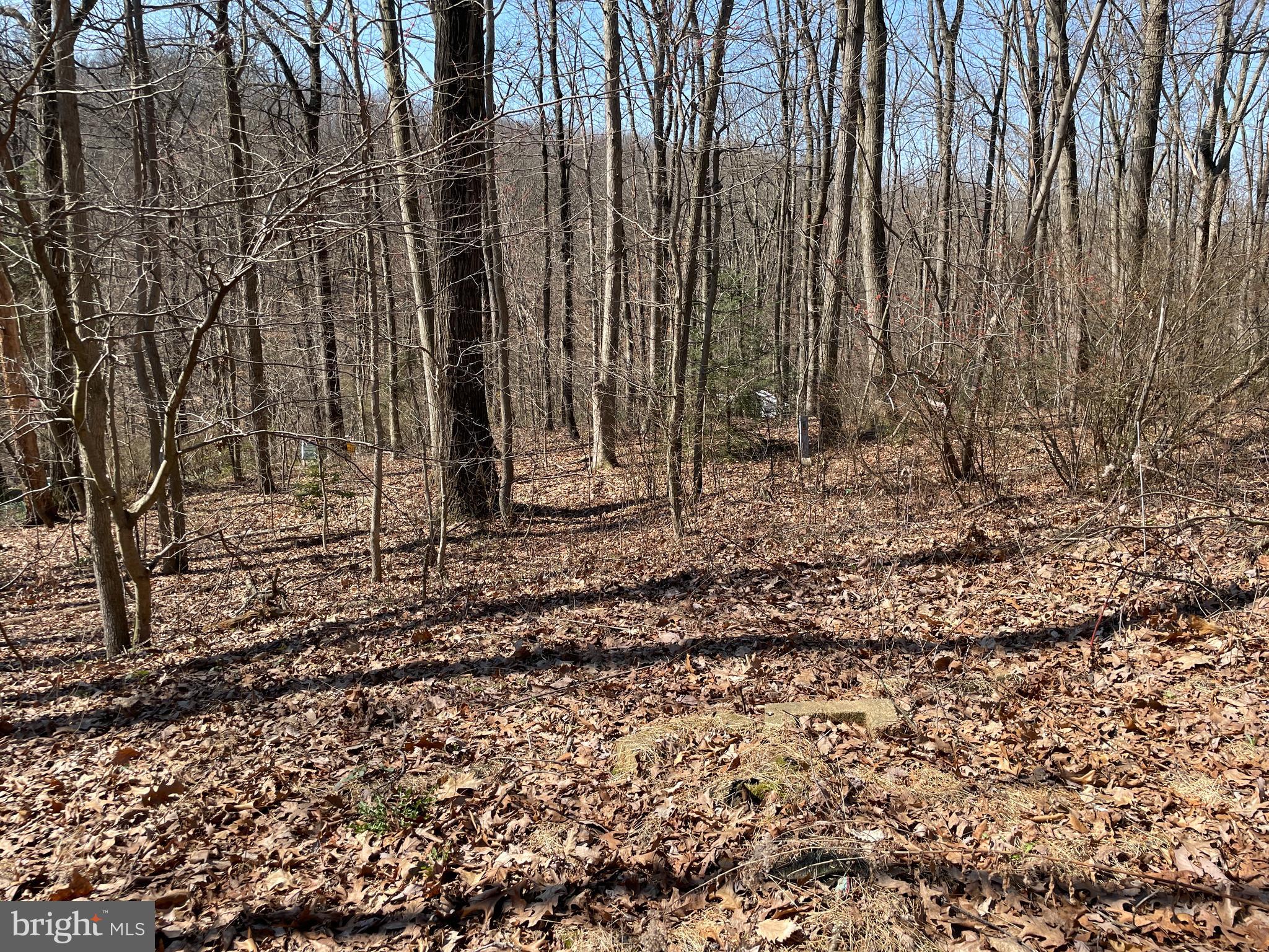 145 Massa Drive Windsor, PA 17366 - Photo 5 of 34