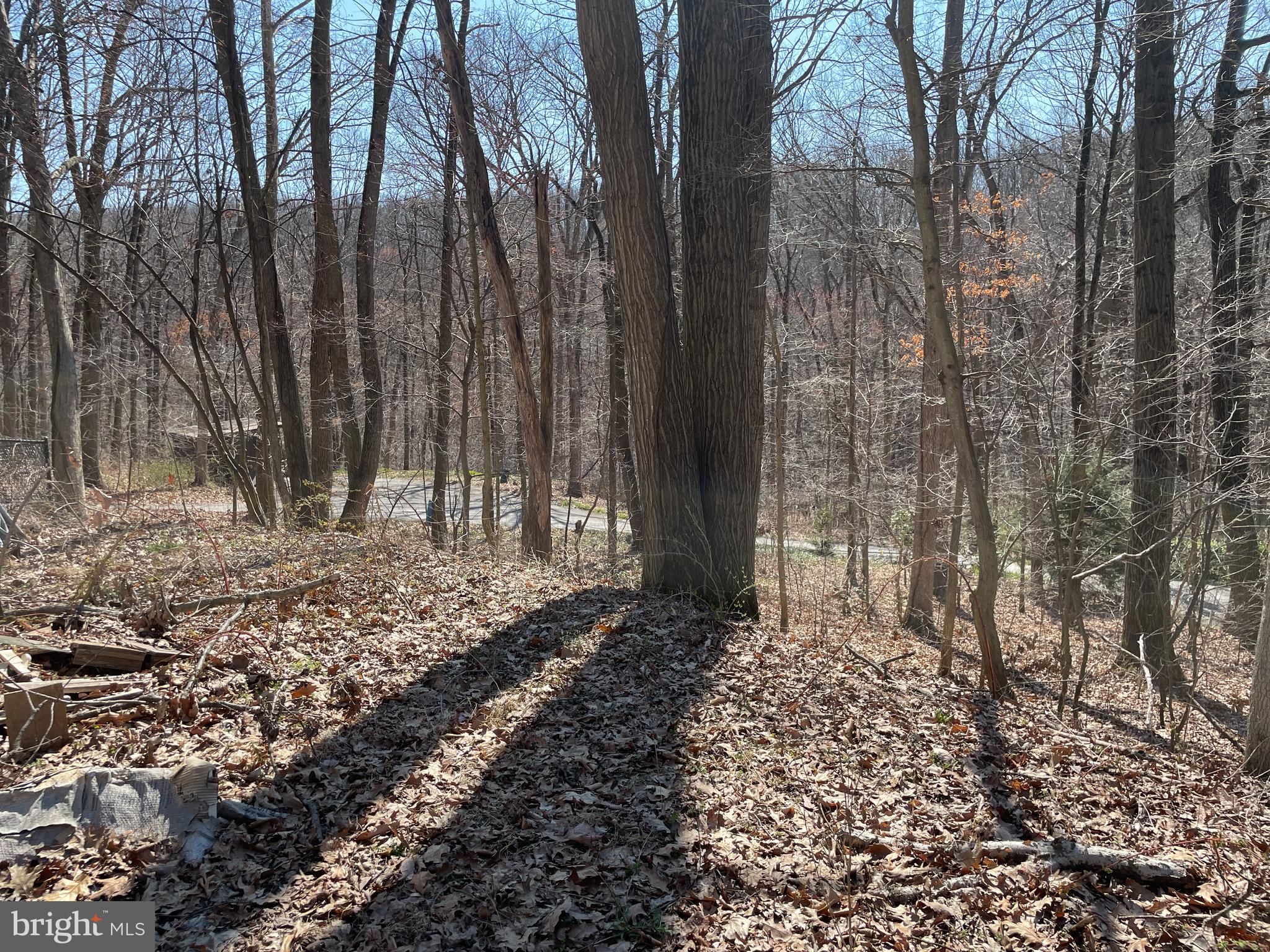 145 Massa Drive Windsor, PA 17366 - Photo 6 of 34