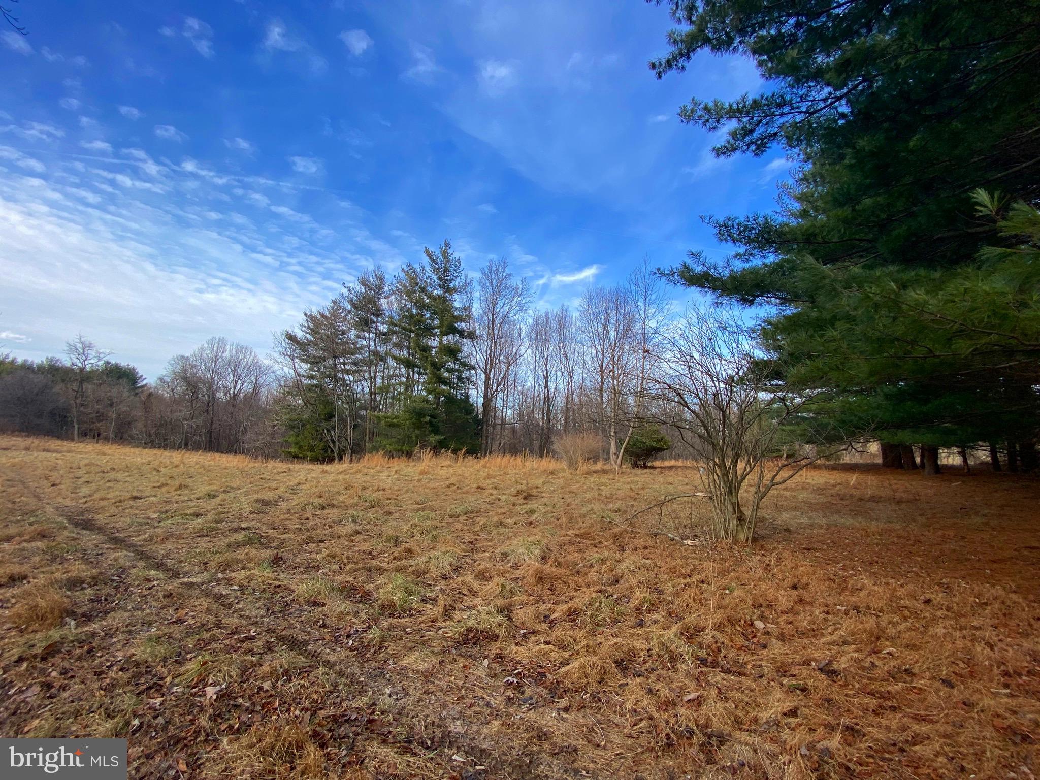 2022 Hoffmaster Road Knoxville, MD 21758 - Photo 2 of 12 Gallery Image 2