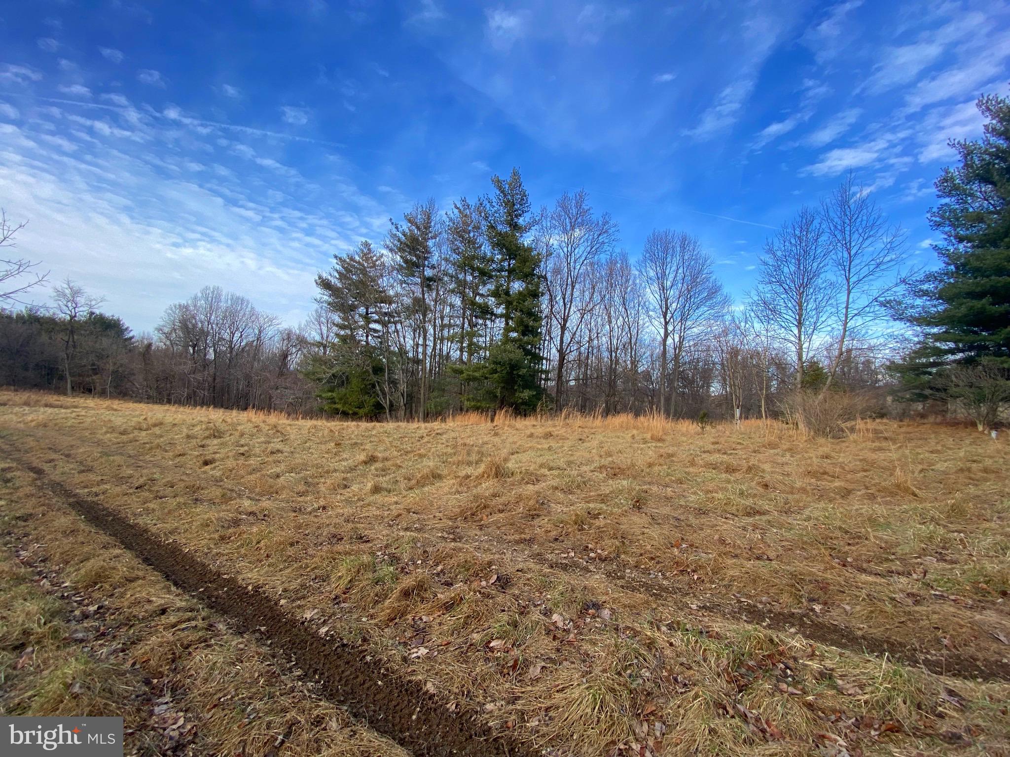 2022 Hoffmaster Road Knoxville, MD 21758 - Photo 3 of 12 Gallery Image 3