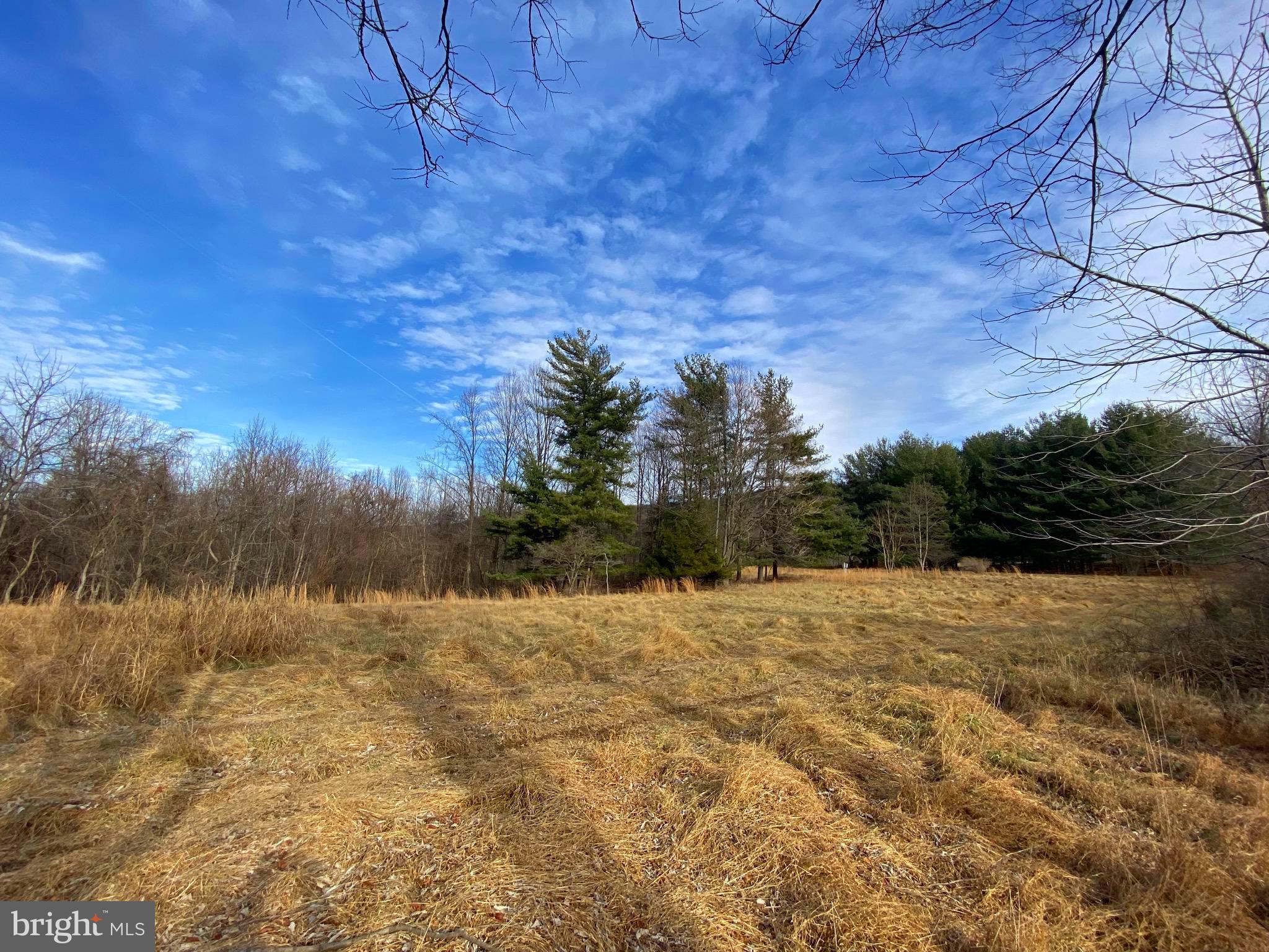 2022 Hoffmaster Road Knoxville, MD 21758 - Photo 4 of 12 Gallery Image 4