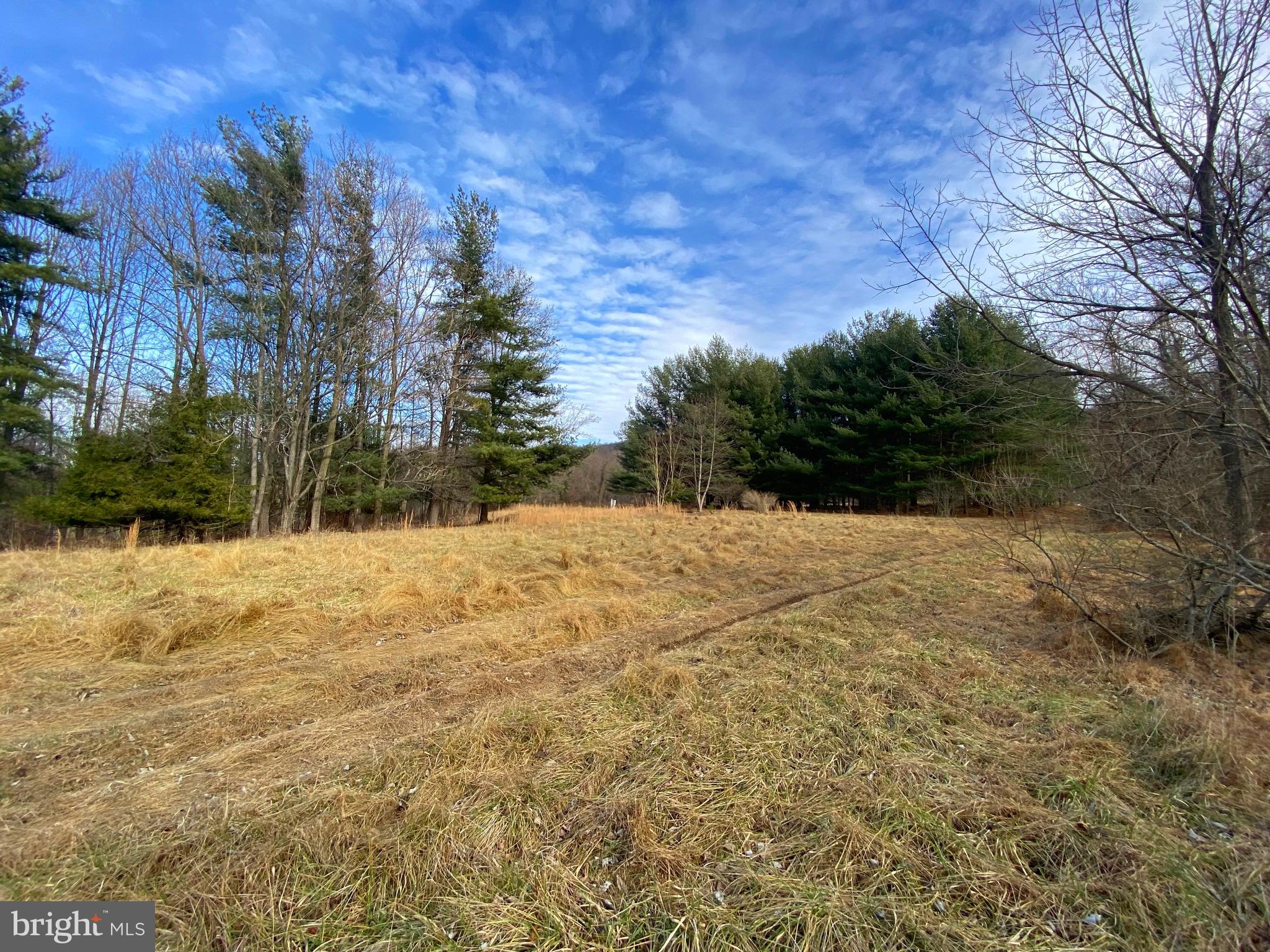 2022 Hoffmaster Road Knoxville, MD 21758 - Photo 5 of 12 Gallery Image 5