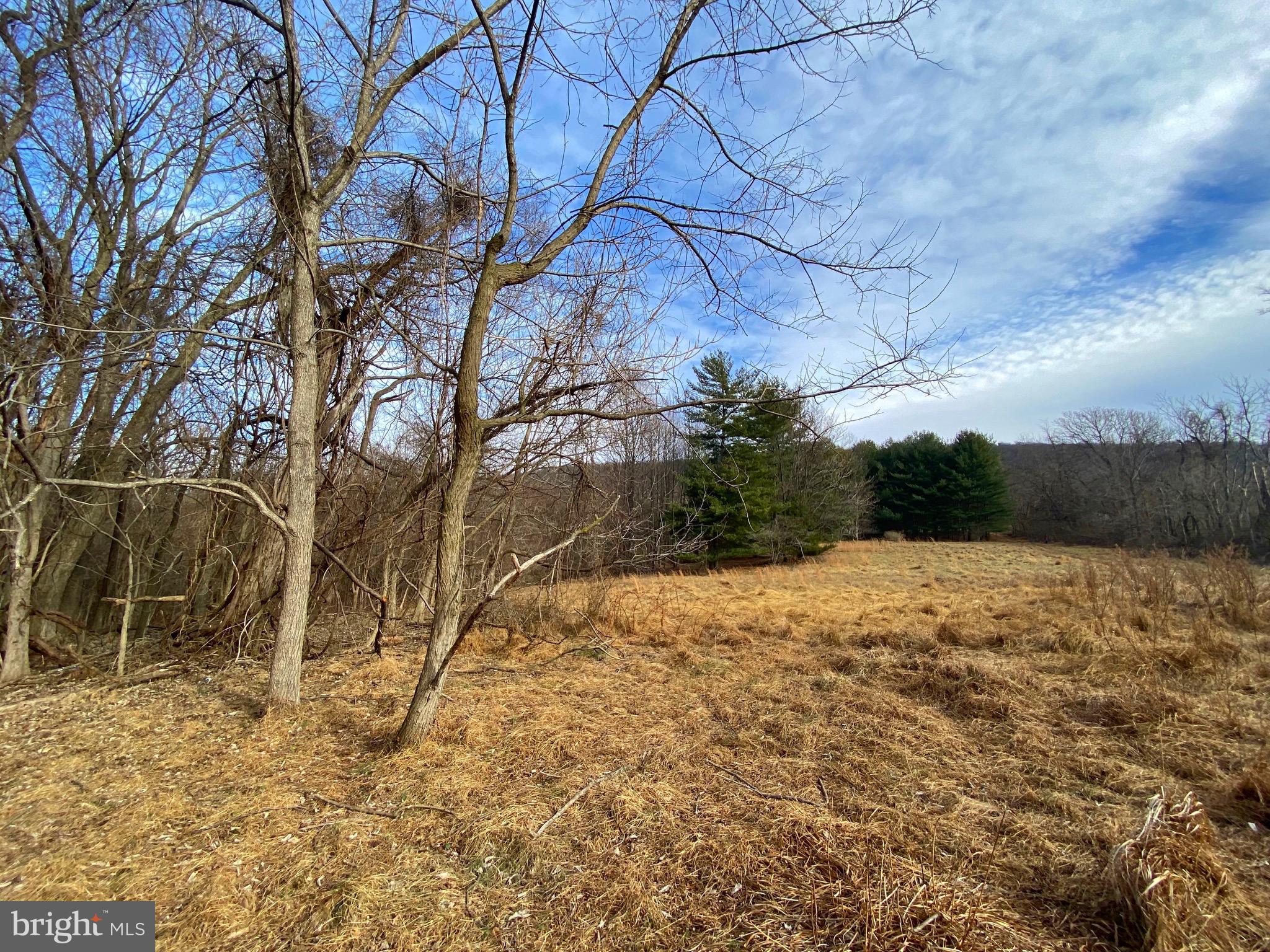 2022 Hoffmaster Road Knoxville, MD 21758 - Photo 7 of 12 Gallery Image 7