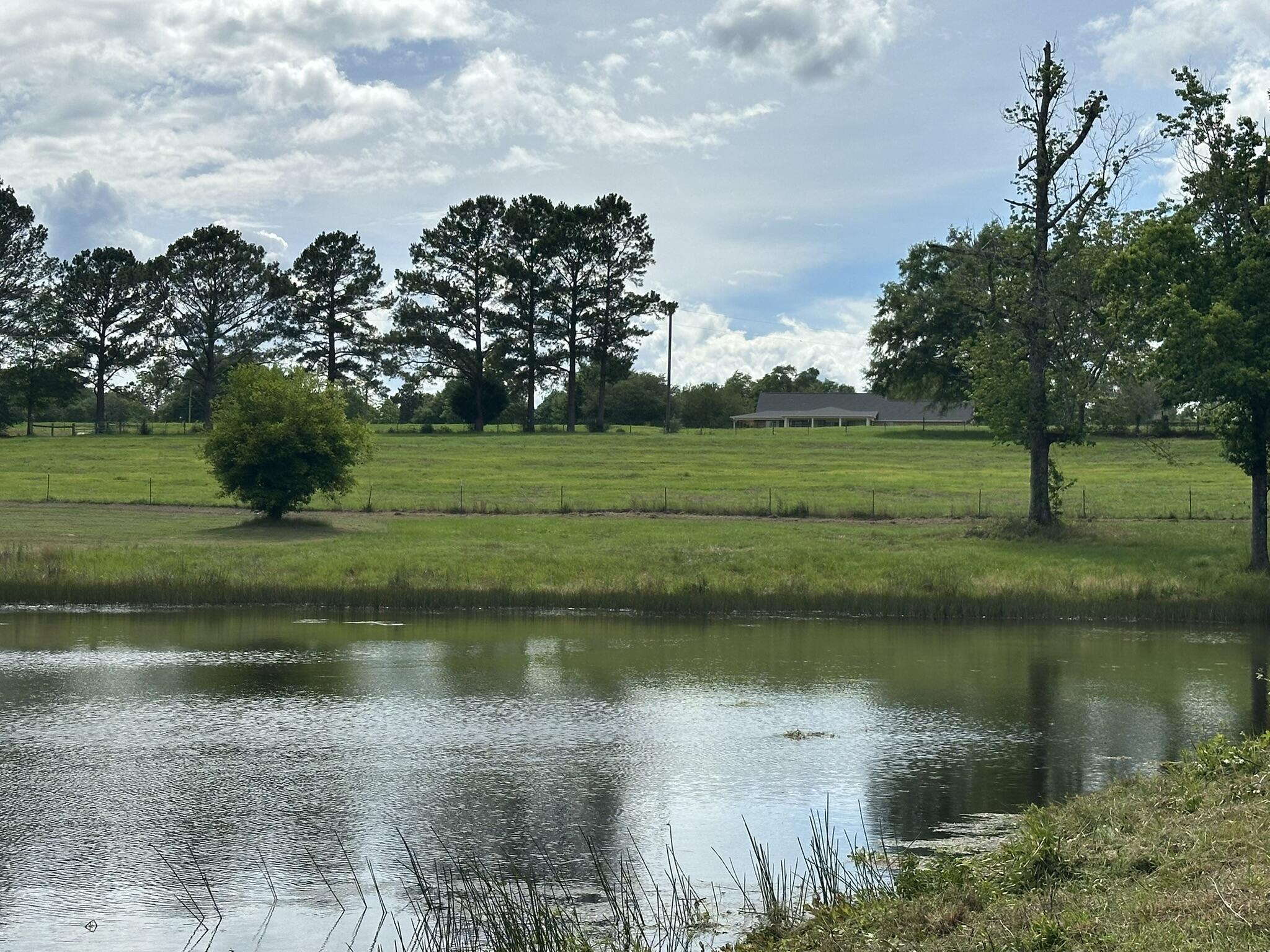 20 / New Ebenezer Road Florala, AL 36442 - Photo 4 of 46 IMG_0021