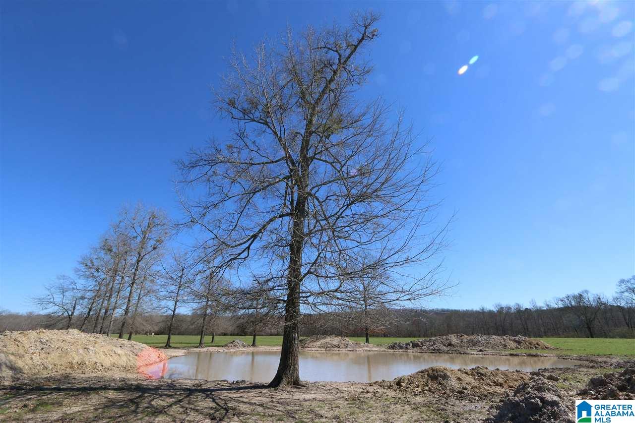 0 Double Bridge Road, Unit 286 Ashville, AL 35953 - Photo 34 of 34