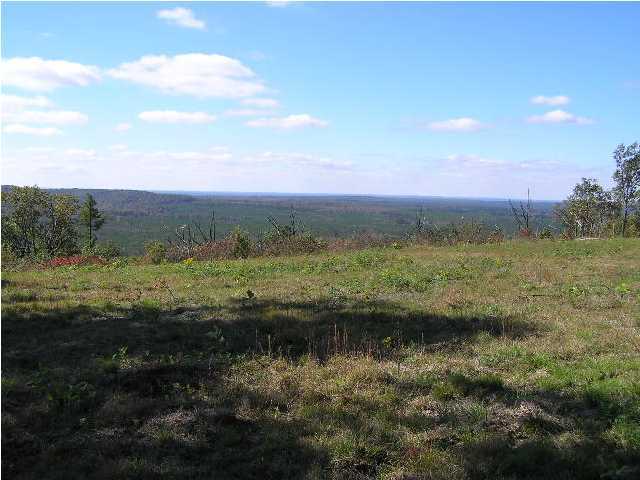 1 Wolf Pen Road Dunlap, TN 37327 - Photo 1 of 5 Primary Photo