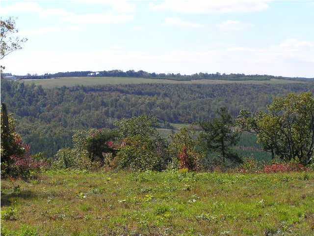 1 Wolf Pen Road Dunlap, TN 37327 - Photo 3 of 5 Additional Photo