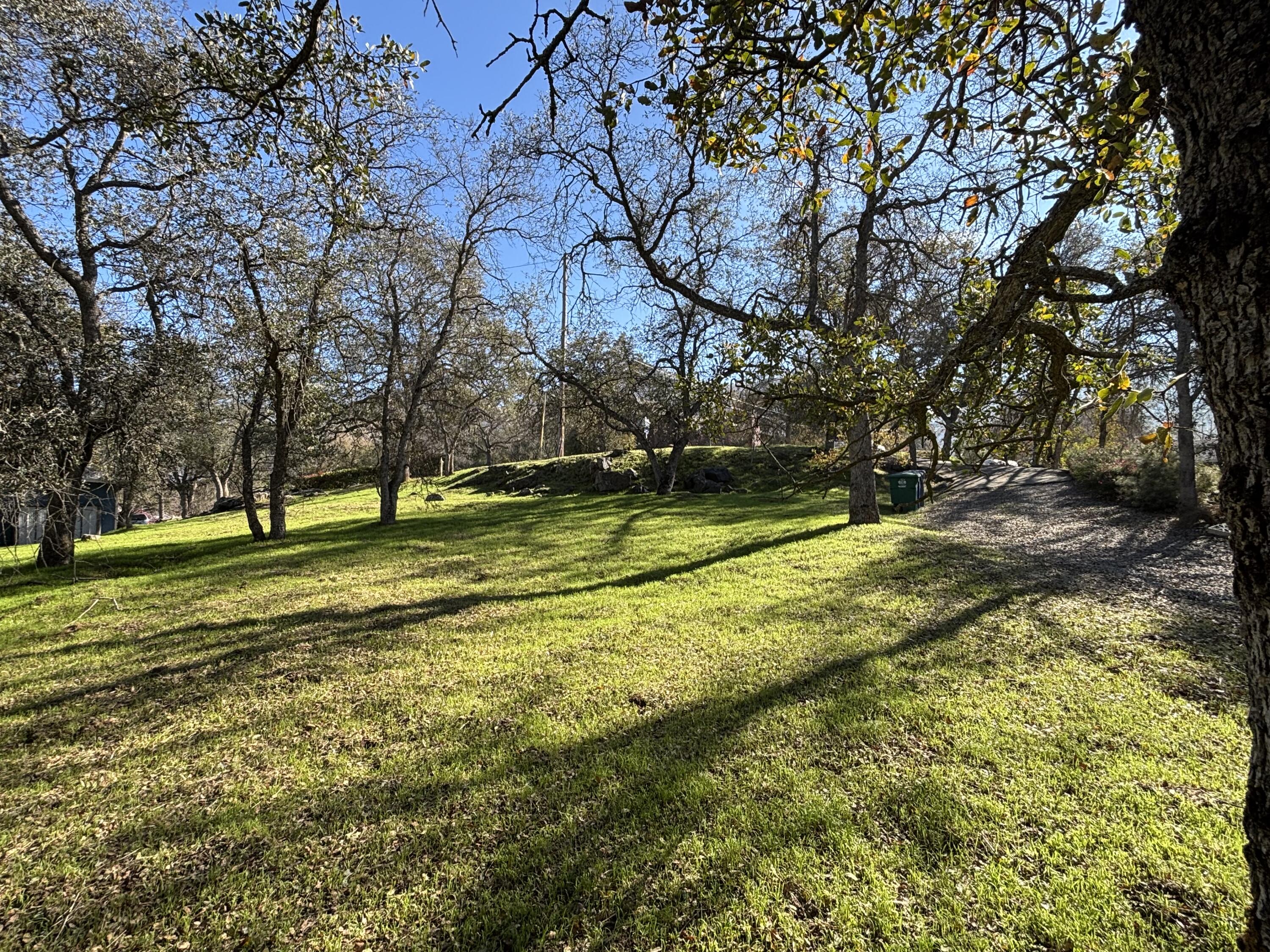 0 Meadow Drive Three Rivers, CA 93271 - Photo 6 of 12 The lot.