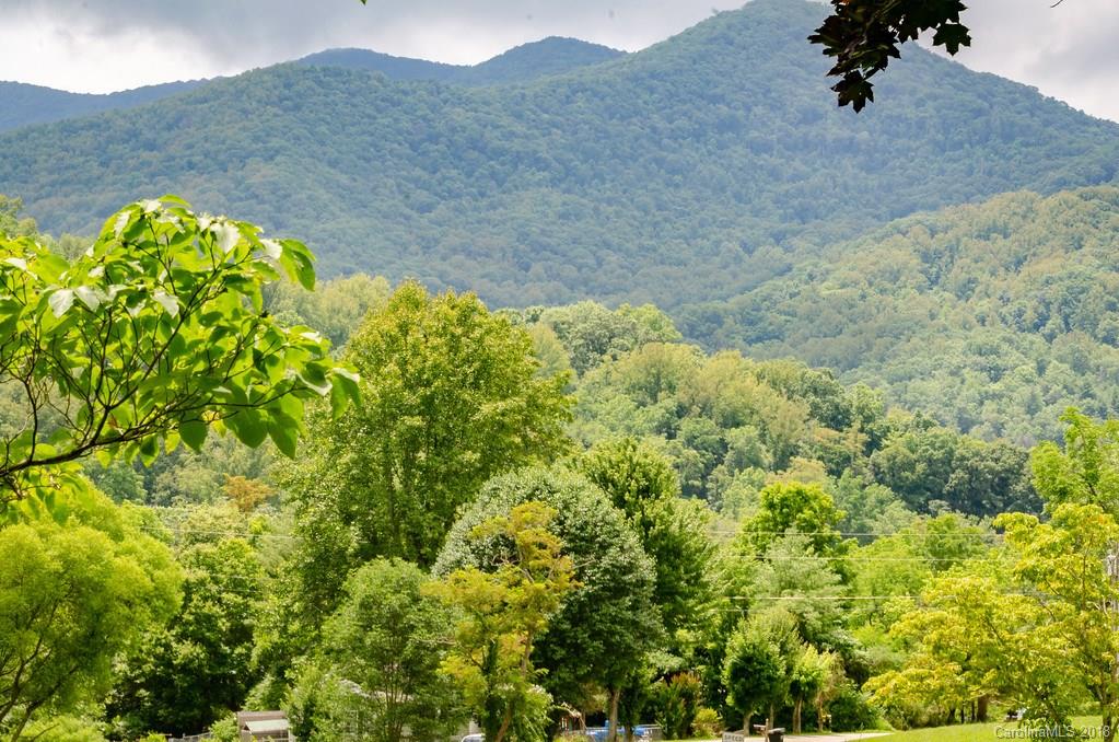 60 Maney Branch Road Weaverville, NC 28787 - Photo 4 of 25 Gallery Image 4