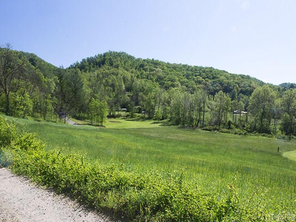Lot #2 Hooper Cemetery Road Cullowhee, NC 28723 - Photo 7 of 26 Gallery Image 7