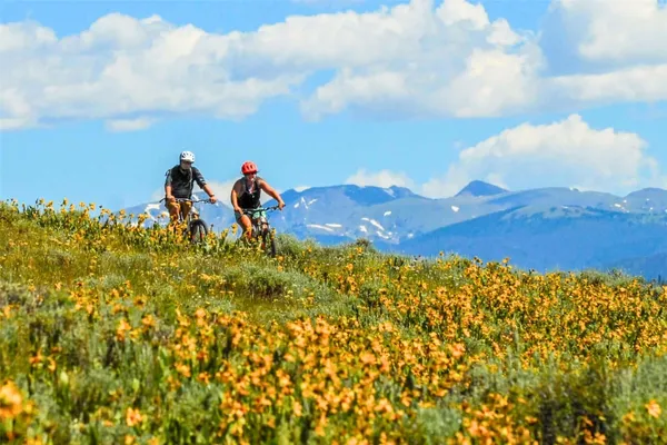 a view of a area of the house and front door