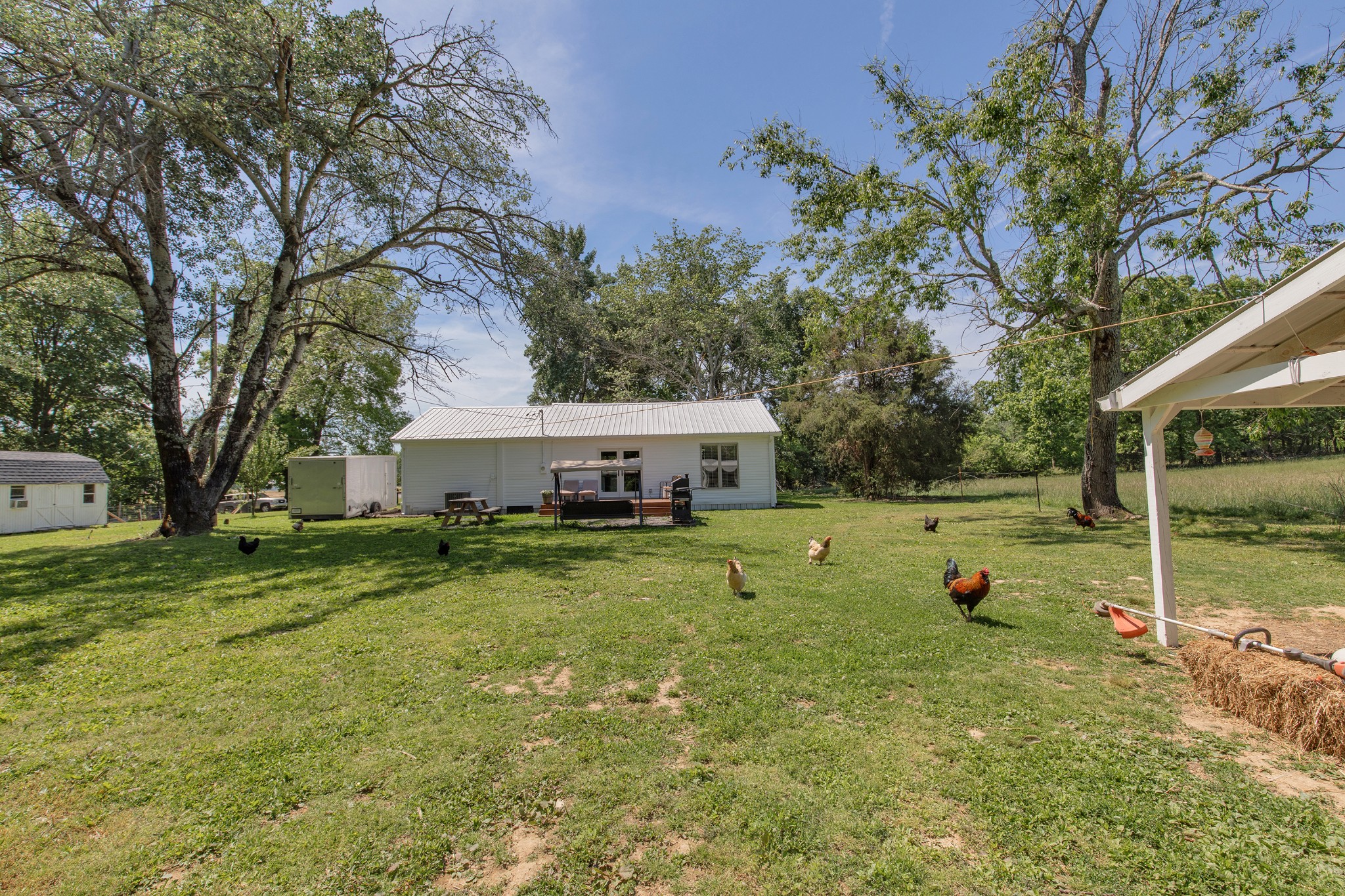 2976 Shrum Cemetery Road Westmoreland, TN 37186 - Photo 43 of 84