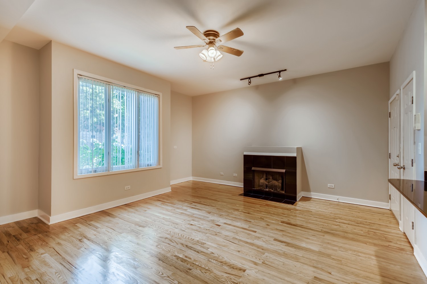 2347 West Harrison Street, Unit 1 Chicago, IL 60612 - Photo 3 of 16