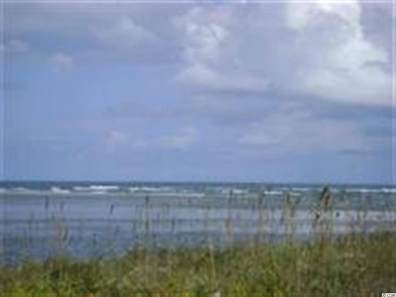 Lot 25 Winston Circle Murrells Inlet, SC 29576 - Photo 22 of 25