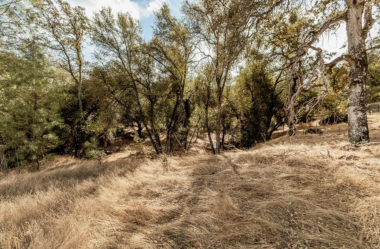 29935 Burrough Valley Road Tollhouse, CA 93667 - Photo 28 of 45 Gallery Image 28