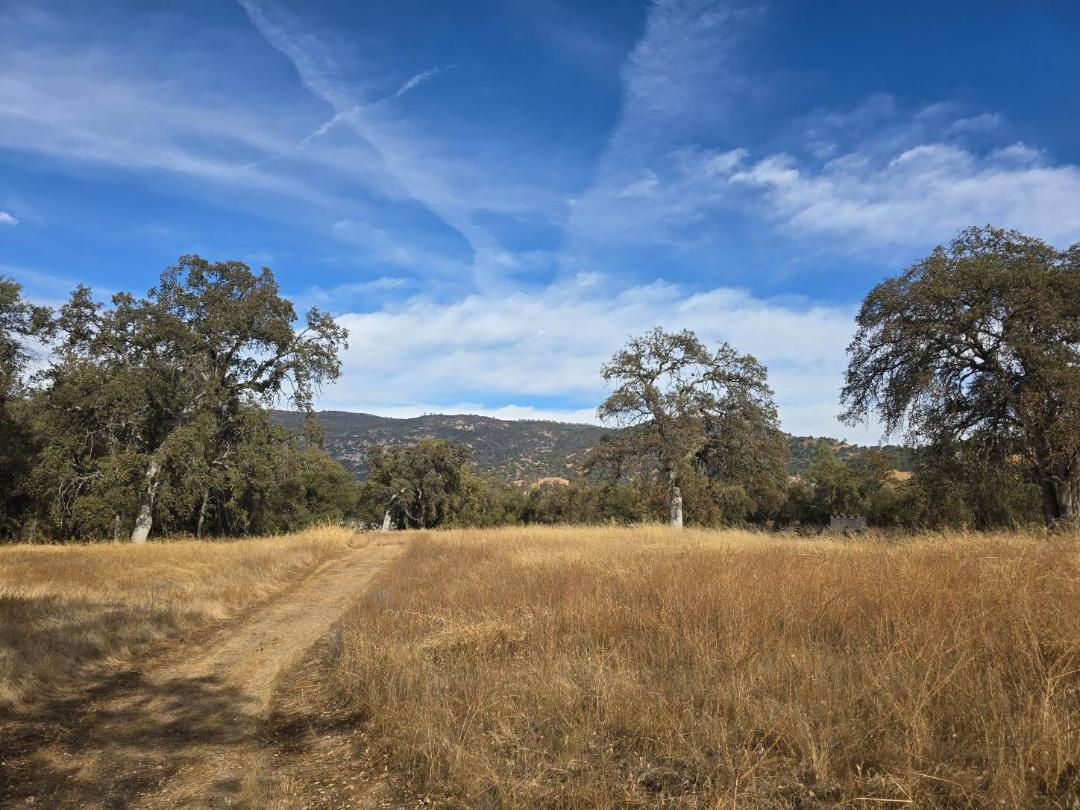 29935 Burrough Valley Road Tollhouse, CA 93667 - Photo 44 of 45 Gallery Image 44