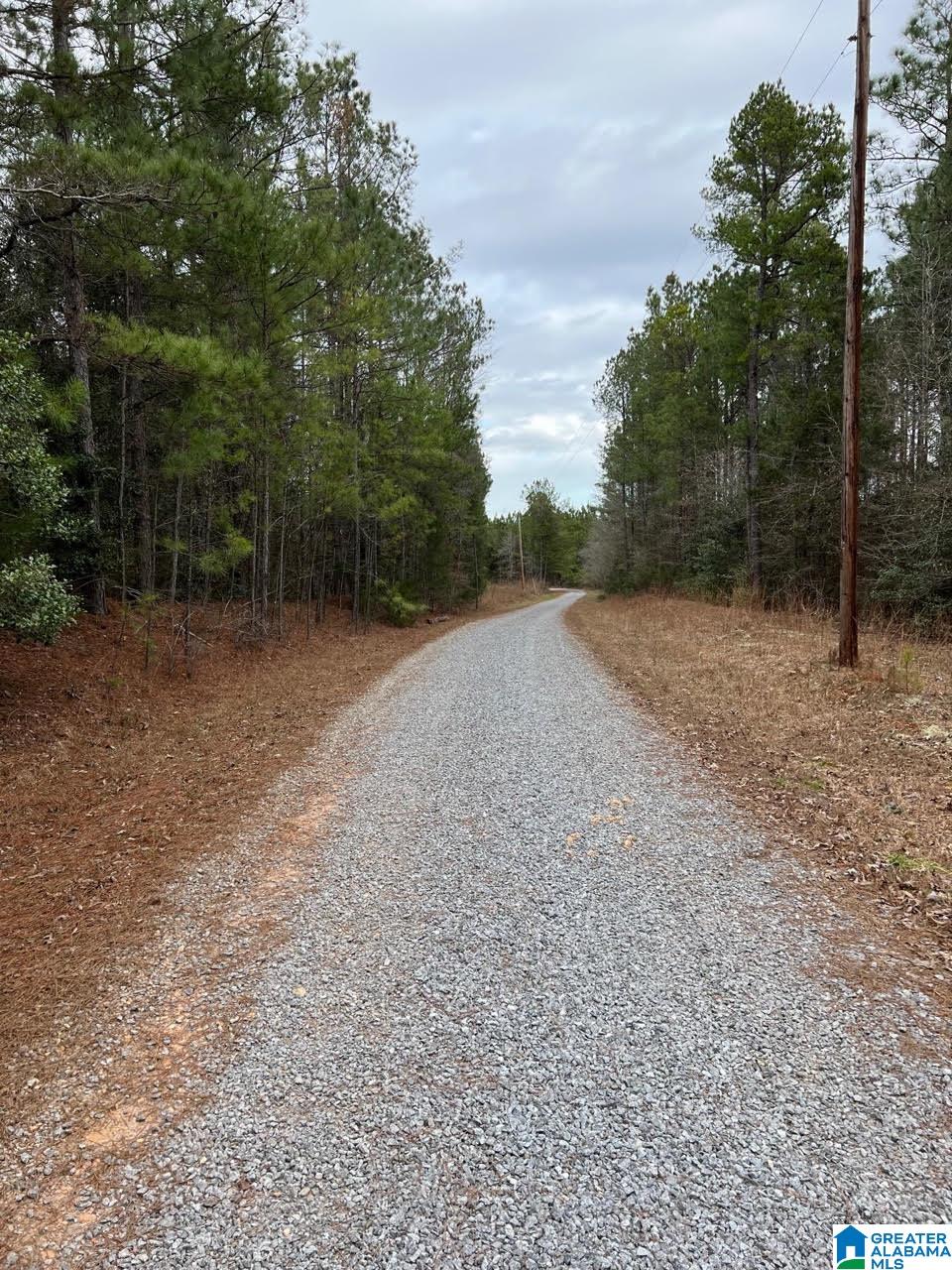 Plyers Mill Road, Unit 43 Alexander City, AL 35010 - Photo 17 of 27