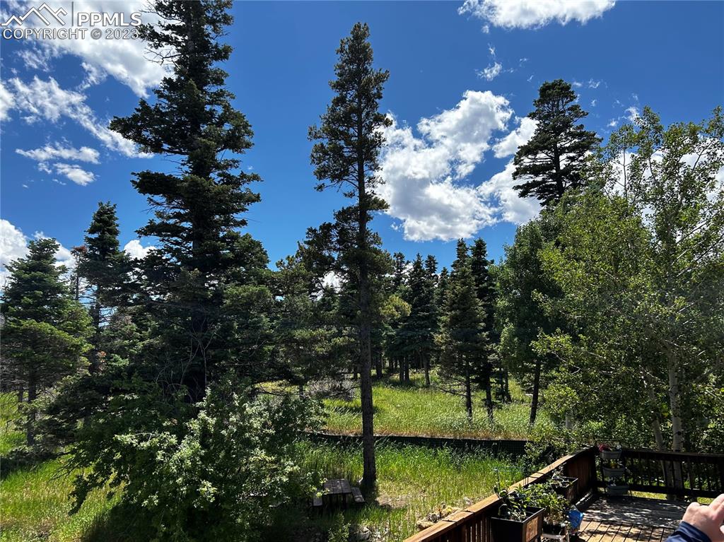 87 Thompson Road Gardner, CO 81040 - Photo 12 of 49 a view of a city with lots of trees