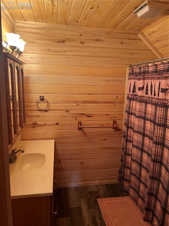 87 Thompson Road Gardner, CO 81040 - Photo 43 of 49 a bathroom with a shower