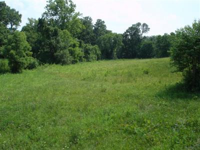 3663 Crowe Ridge Road Winchester, KY 40391 - Photo 2 of 6 Photo 2