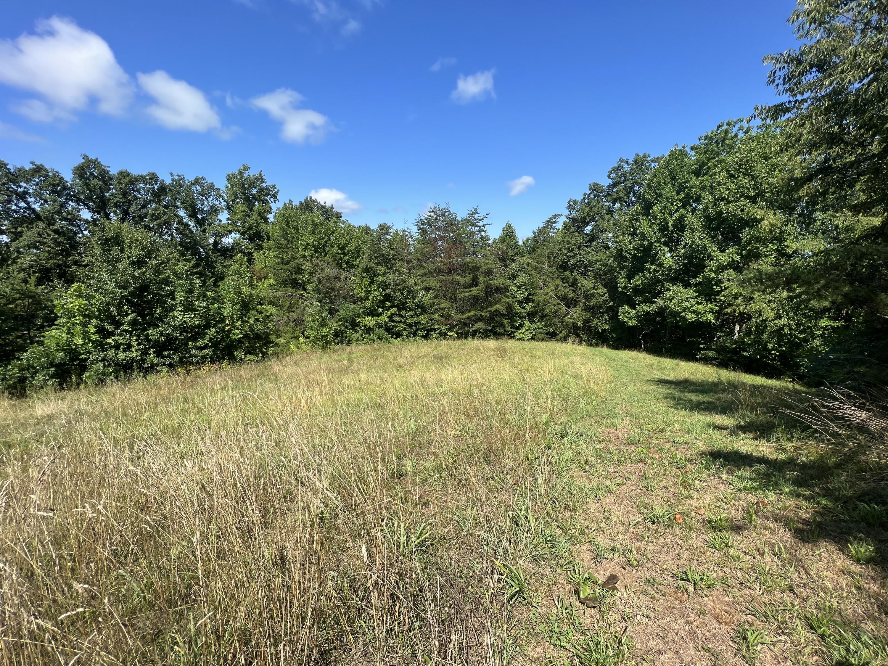 290 Morris Cemetery Road West Liberty, KY 41472 - Photo 14 of 25 Photo Jul 11, 11 16 56 AM